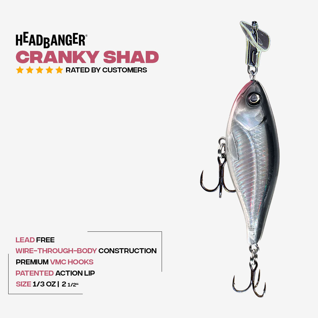 Headbanger Cranky Shad 2-1/2