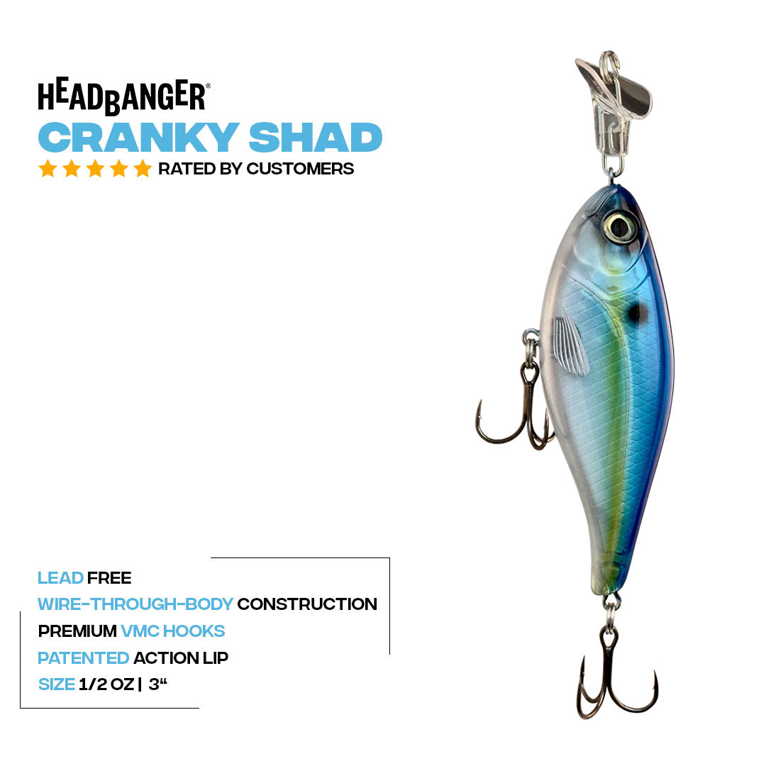 Headbanger Cranky Shad 3