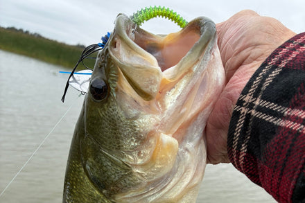 Catch photo