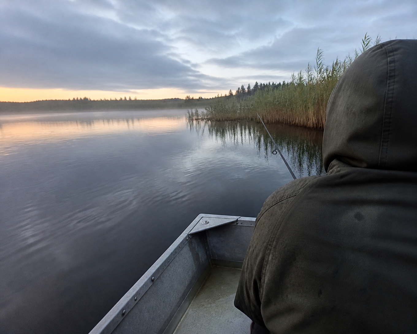 Angler making a first surface pass along a reed edge at dawn