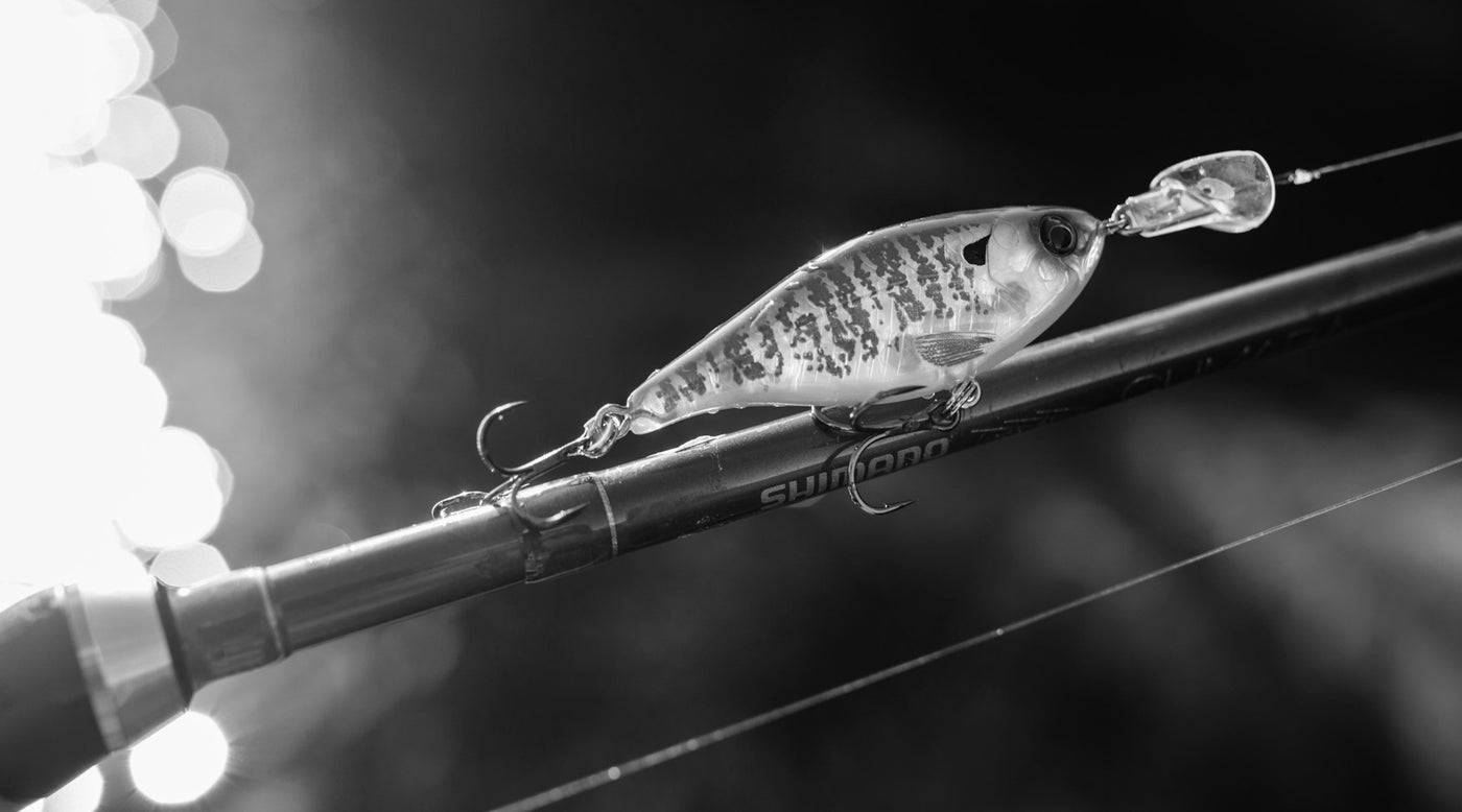 AN OBSESSION WITH INNOVATION