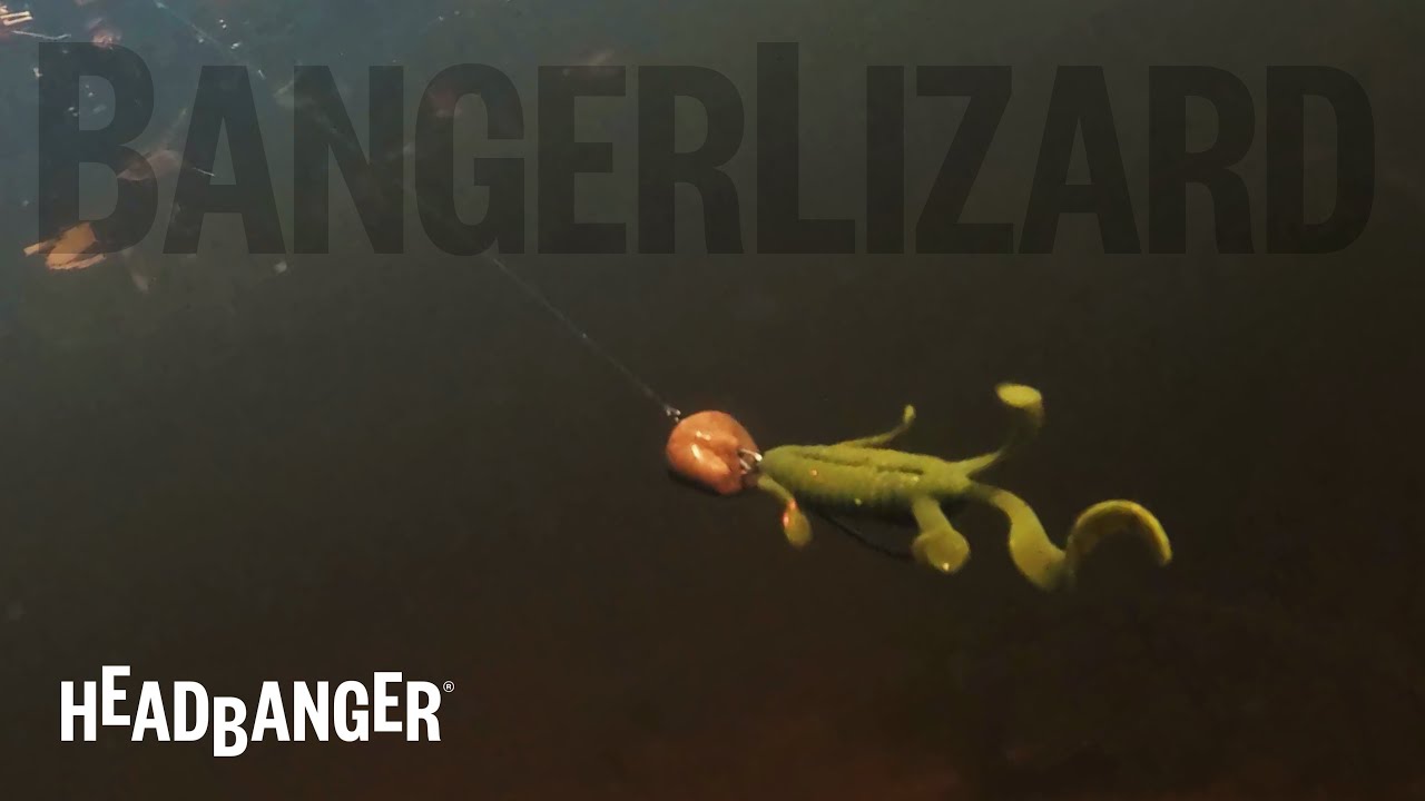BangerLizard_SwimmingAction.jpg