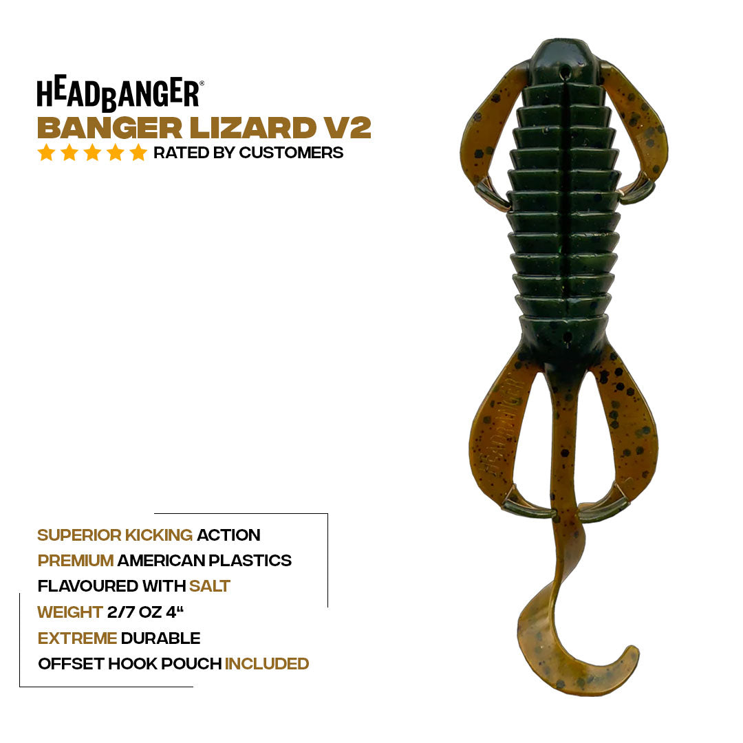 BangerLizard_V2_Specs.jpg