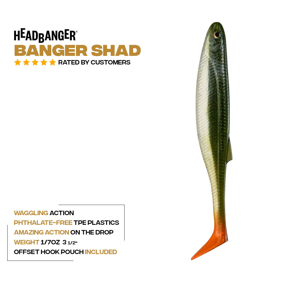 BangerShad_Specs_3-1_2.jpg