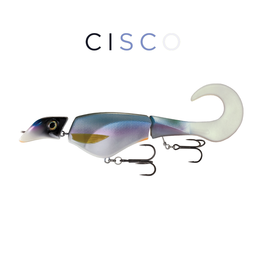 Headbanger Colossus Curly 12" - Cisco