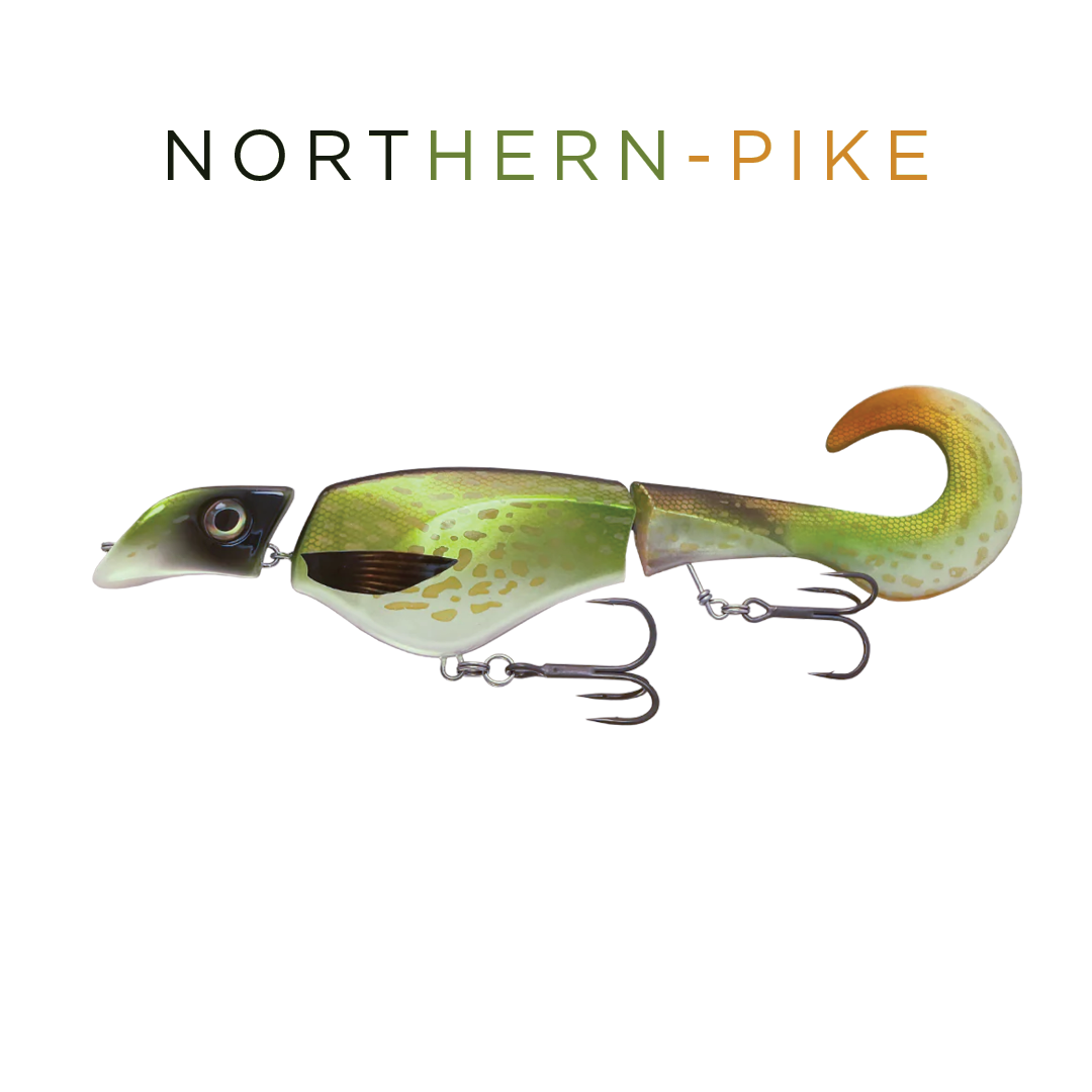 Headbanger Colossus Curly 12" - Northern Pike