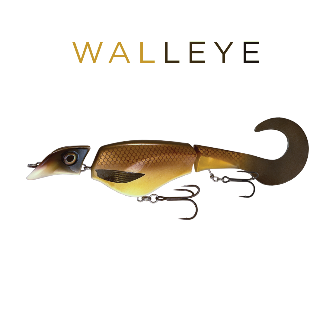 Headbanger Colossus Curly 12" - Walleye