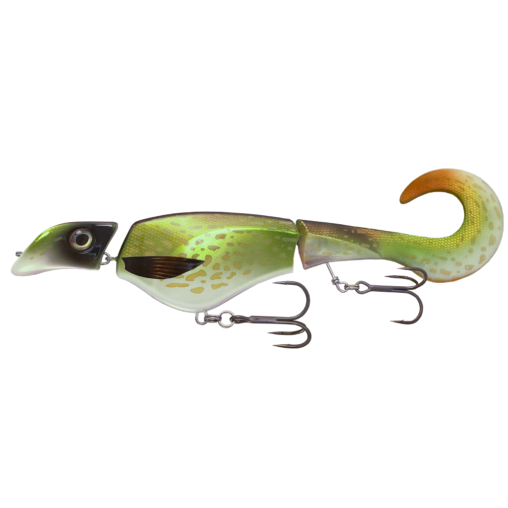 Headbanger Colossus Curly 12"