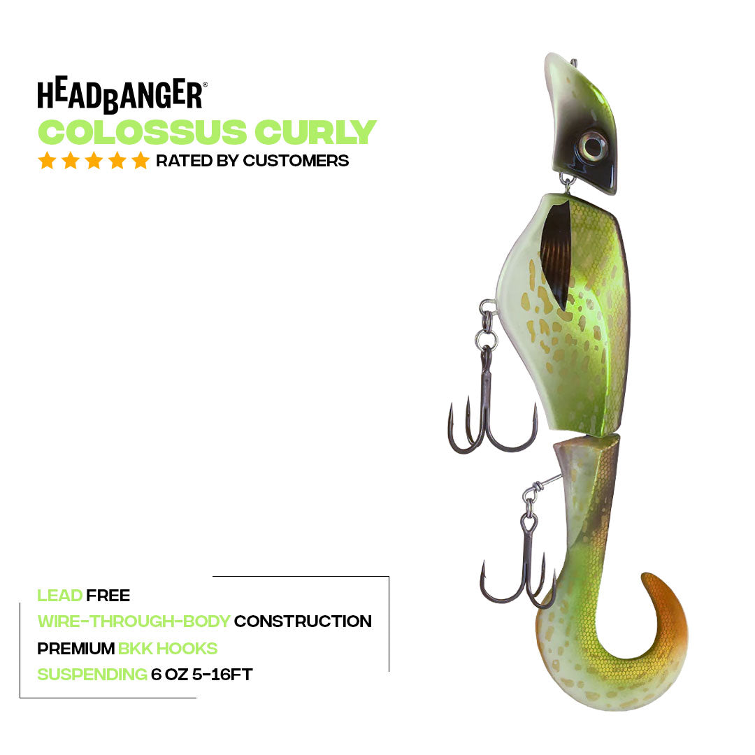 Colossus-Curly_Specs_V1.jpg