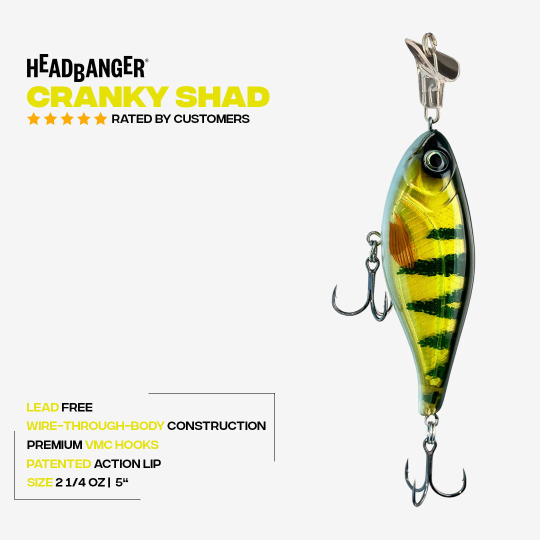 Cranky-Shad_Specs_5_V3.jpg