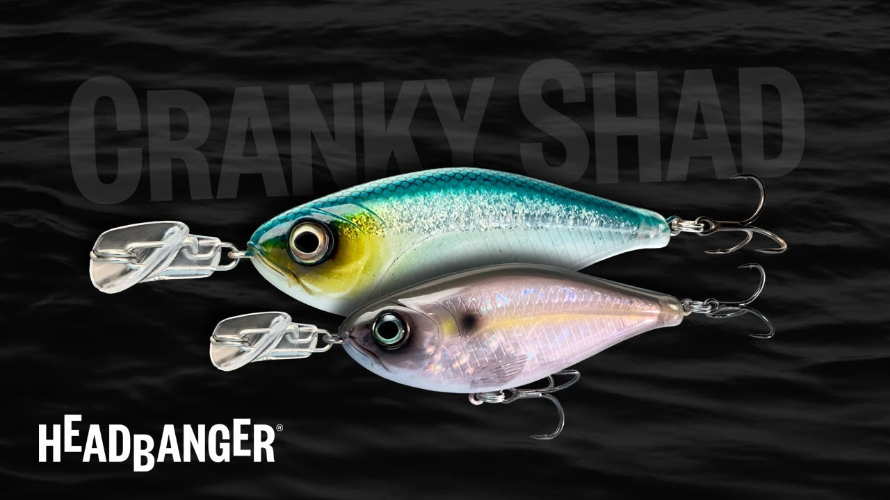CrankyShad_4inch_5inch_Promo.jpg