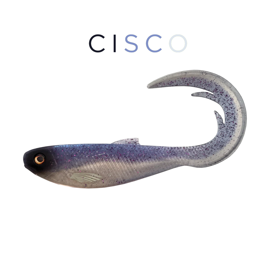 Headbanger FireTail V2 8-1/2" - Cisco
