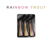 Headbanger Shad 9" Replacement Tails - Rainbow Trout
