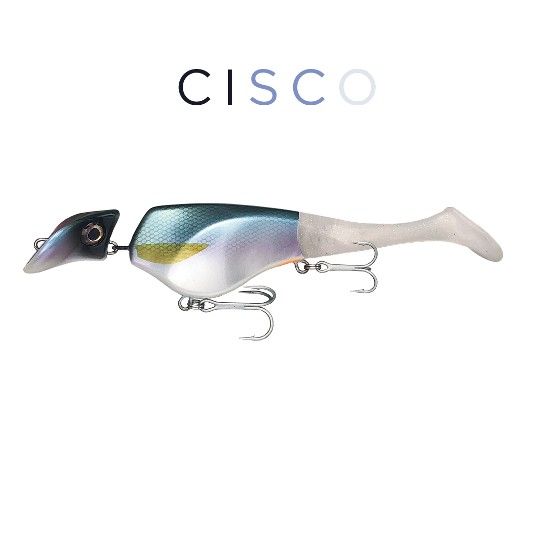 Headbanger Shad 9" - Cisco