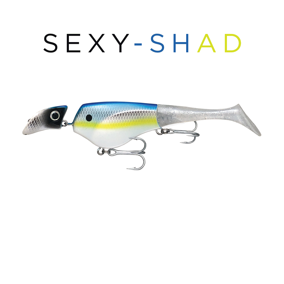Headbanger Shad 6" - Sexy Shad