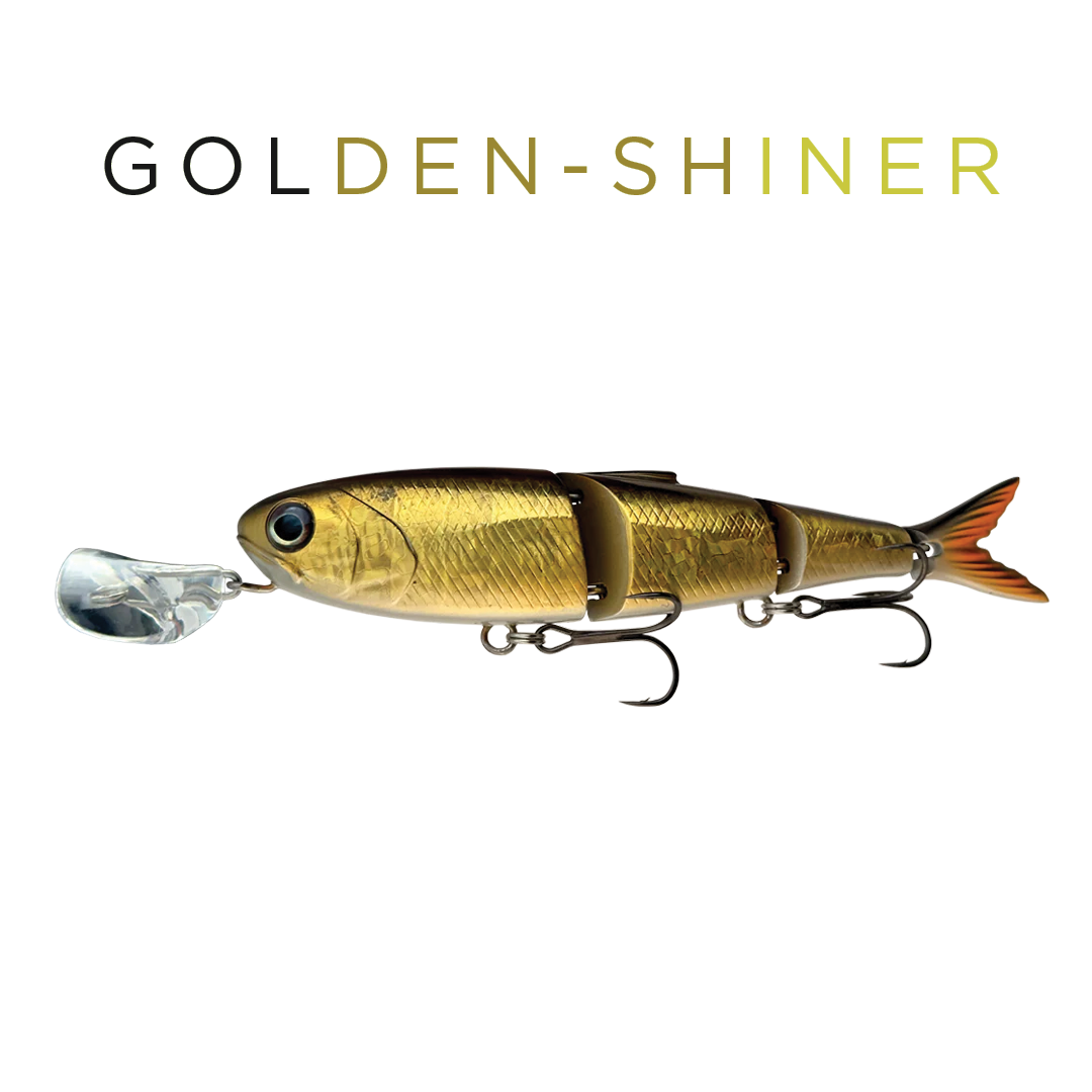 Headbanger Spitfire 4-1/2 - Golden Shiner