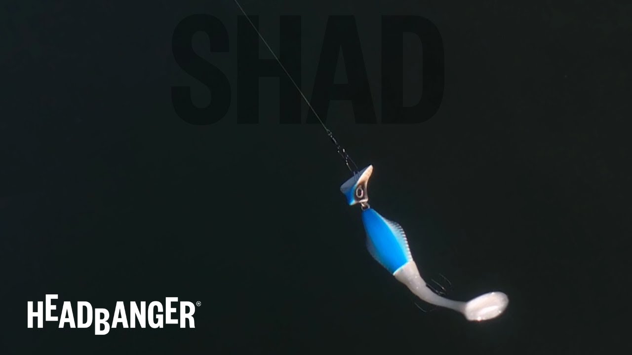 Shad_4.5inch_SwimmingAction.jpg