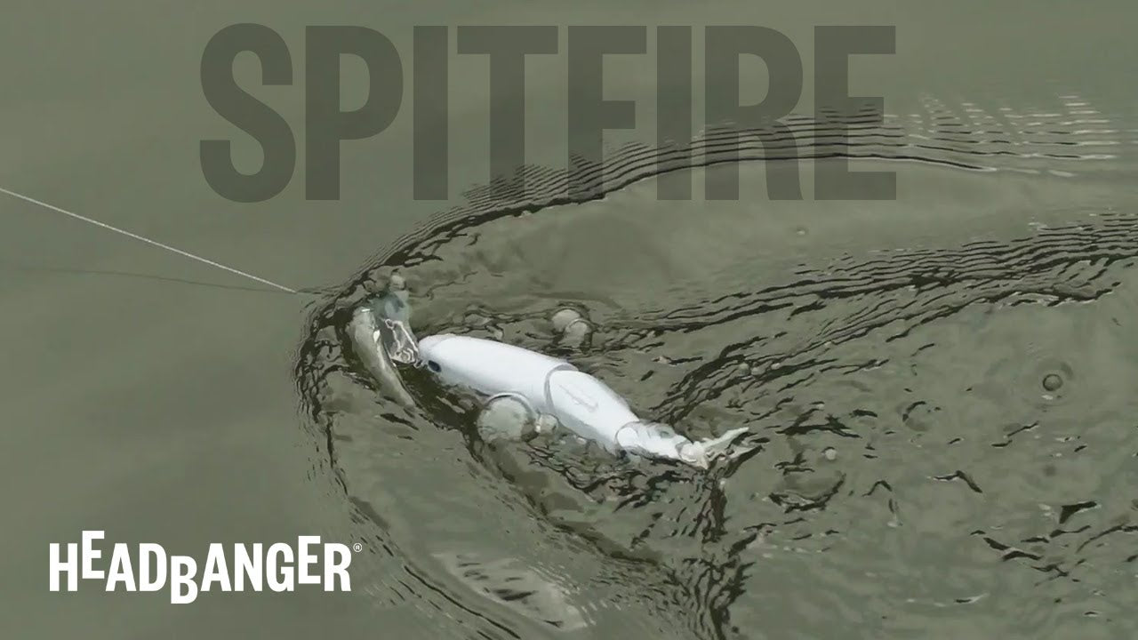 Spitfire_SwimmingAction.jpg