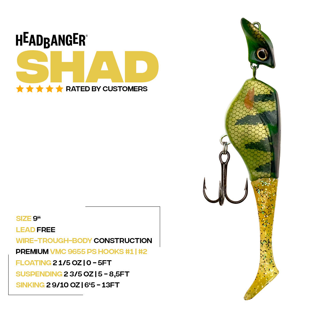 shad-specs-9in-v1.jpg