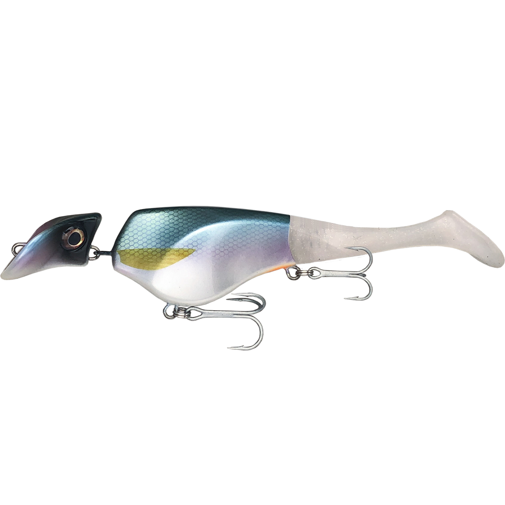 best fishing shad lure for catfish Headbanger Shad 9" Sinking / Cisco